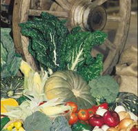 Mulgowie Real Farmers Markets - Whitsundays Accommodation