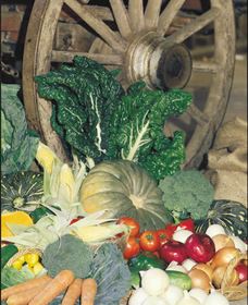 Mulgowie Real Farmers Markets - Whitsundays Accommodation 0