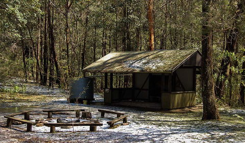 Parr State Conservation Area - Whitsundays Accommodation 1