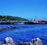 King Island Dairies - Whitsundays Accommodation