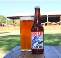 Feral Brewing Company - Whitsundays Accommodation