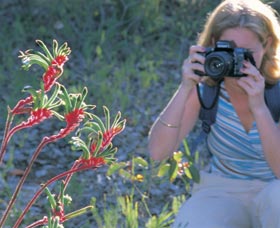 Kalamunda National Park - Whitsundays Accommodation 1
