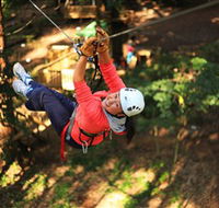 Trees Adventure Grose River Park - Whitsundays Accommodation