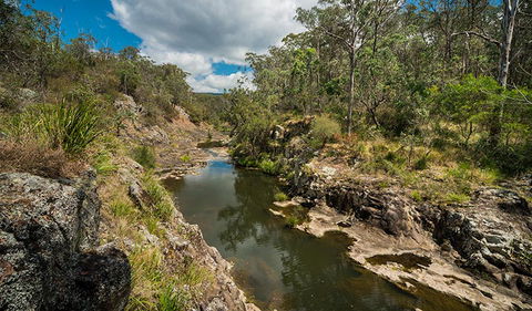 Koreelah National Park - Whitsundays Accommodation 0