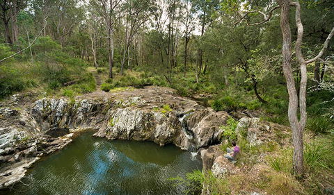 Koreelah National Park - Whitsundays Accommodation 2