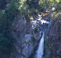 Lyrebird Falls walking track - Whitsundays Accommodation