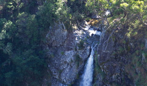 Lyrebird Falls Walking Track - Whitsundays Accommodation 0