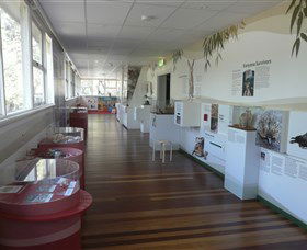 Kanyana Wildlife Rehabilitation Centre - Whitsundays Accommodation 1