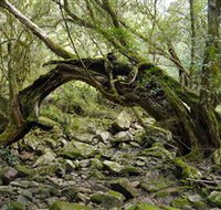 Mitchell River National Park - Whitsundays Accommodation