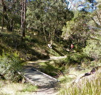 Wollomombi walking track - Whitsundays Accommodation