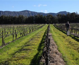 Around Hermitage Wine And Food Trail Hunter Valley - Whitsundays Accommodation 1