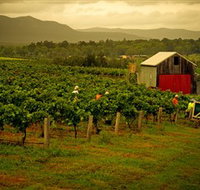Around Hermitage Wine and Food Trail Hunter Valley - Whitsundays Accommodation