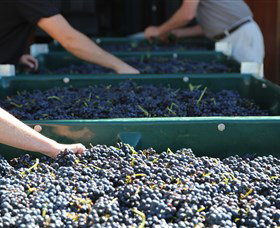 Around Hermitage Wine And Food Trail Hunter Valley - Whitsundays Accommodation 6