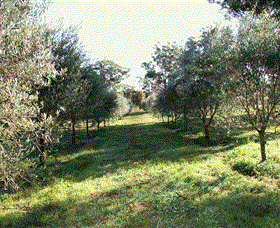 Langdale Farm - Whitsundays Accommodation