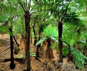 Naracoopa TAS Whitsundays Accommodation