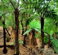 Pegarah Private Nature Reserve  Parenna Place - Whitsundays Accommodation