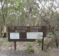 Box Vale Picnic Area - Whitsundays Accommodation