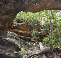 Cave Creek Walking Track - Whitsundays Accommodation