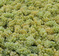 Normanby Wines - Whitsundays Accommodation