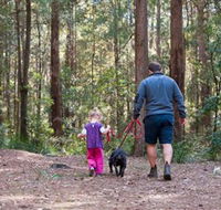 Olney State Forest - Watagan Mountains - Whitsundays Accommodation