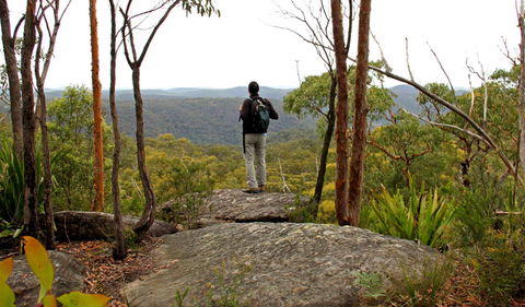 Mount Olive Lookout - Whitsundays Accommodation 1