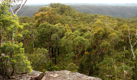 Mount Olive Lookout - Whitsundays Accommodation 0