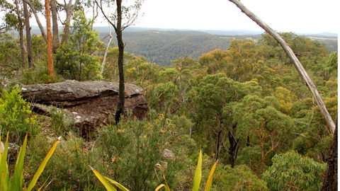 Mount Olive Lookout - Whitsundays Accommodation 2