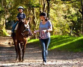 Glenworth Valley Horse Riding - Whitsundays Accommodation 3