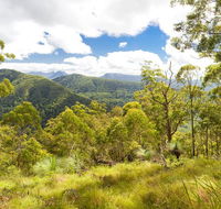 Toonumbar National Park - Whitsundays Accommodation