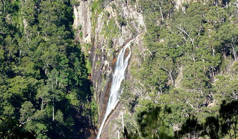 Carrai National Park - Whitsundays Accommodation 0