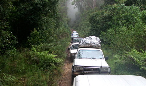 Carrai National Park - Whitsundays Accommodation 3