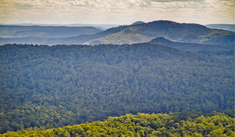Murray Scrub Lookout - Whitsundays Accommodation 1