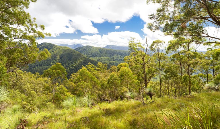 Roseberry Creek ACT Whitsundays Accommodation