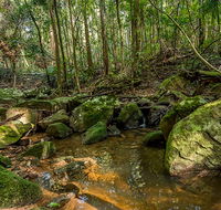 Palm Grove Nature Reserve - Whitsundays Accommodation
