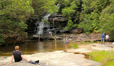 Somersby Falls Picnic Area - Whitsundays Accommodation 0