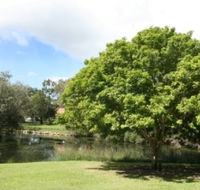 Hervey Bay Botanic Gardens - Whitsundays Accommodation