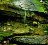 Strickland State Forest - Whitsundays Accommodation