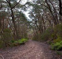 Budawang National Park - Whitsundays Accommodation