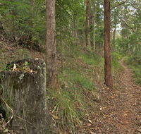 Border loop walk - Whitsundays Accommodation