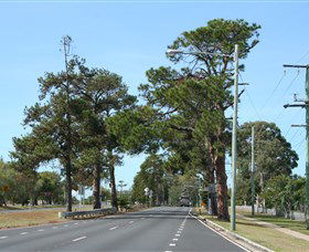 Anzac Memorial Avenue, Redcliffe - Whitsundays Accommodation 2