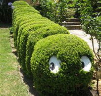Nutcote - May Gibbs' Home - House Museum - Whitsundays Accommodation