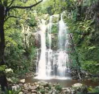 Budderoo National Park - The Falls Walk - Whitsundays Accommodation