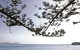 Terrigal Beach - thumb 0