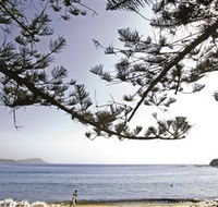 Terrigal Beach - Whitsundays Accommodation