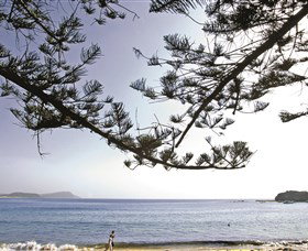 Terrigal Beach - Whitsundays Accommodation 0