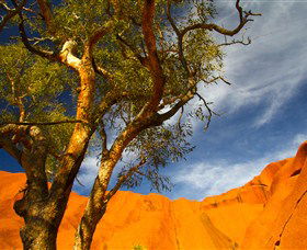 The Artery Aboriginal Art - Whitsundays Accommodation 2