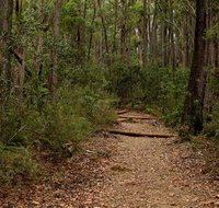 Pigeon House Mountain Didthul walking track - Whitsundays Accommodation