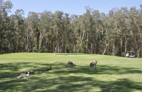 Emerald Downs Golf Course - Whitsundays Accommodation 4