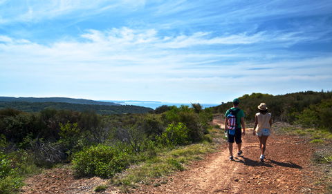 Moonee Beach Trail - Whitsundays Accommodation 0