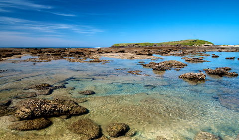 Moonee Beach Trail - Whitsundays Accommodation 2